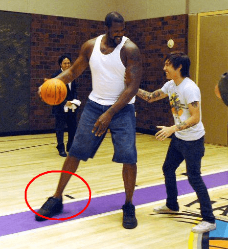 适度上调能 适度上调能